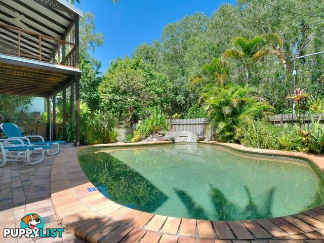 4 Marlin Terraces/20 Mudlo Street PORT DOUGLAS QLD 4877