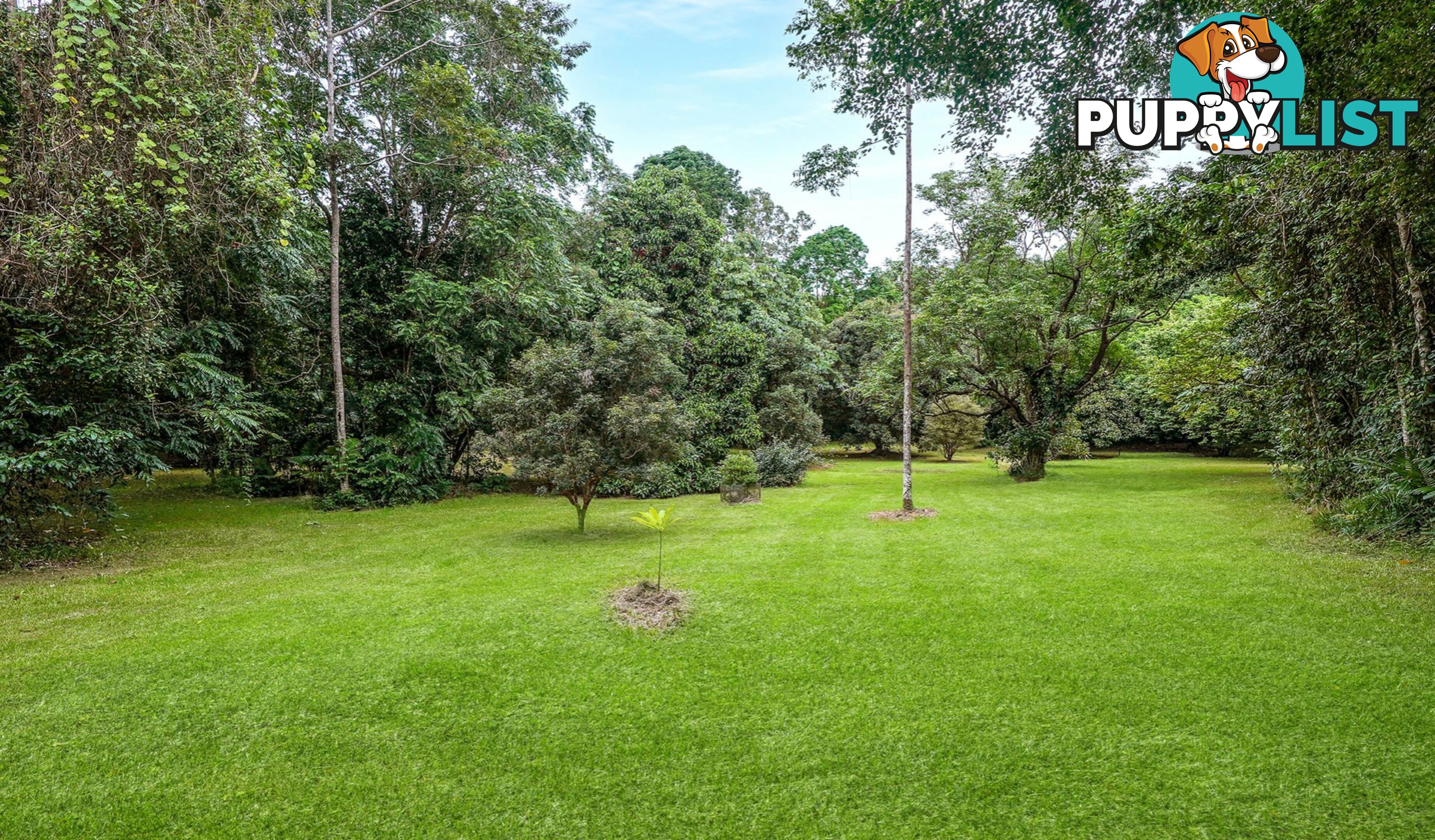 257 Cape Kimberley Road DAINTREE QLD 4873