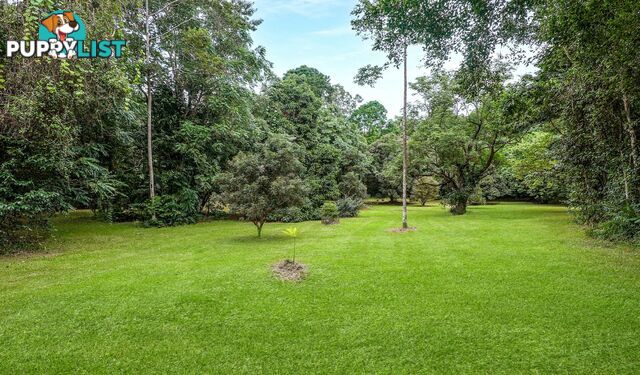 257 Cape Kimberley Road DAINTREE QLD 4873