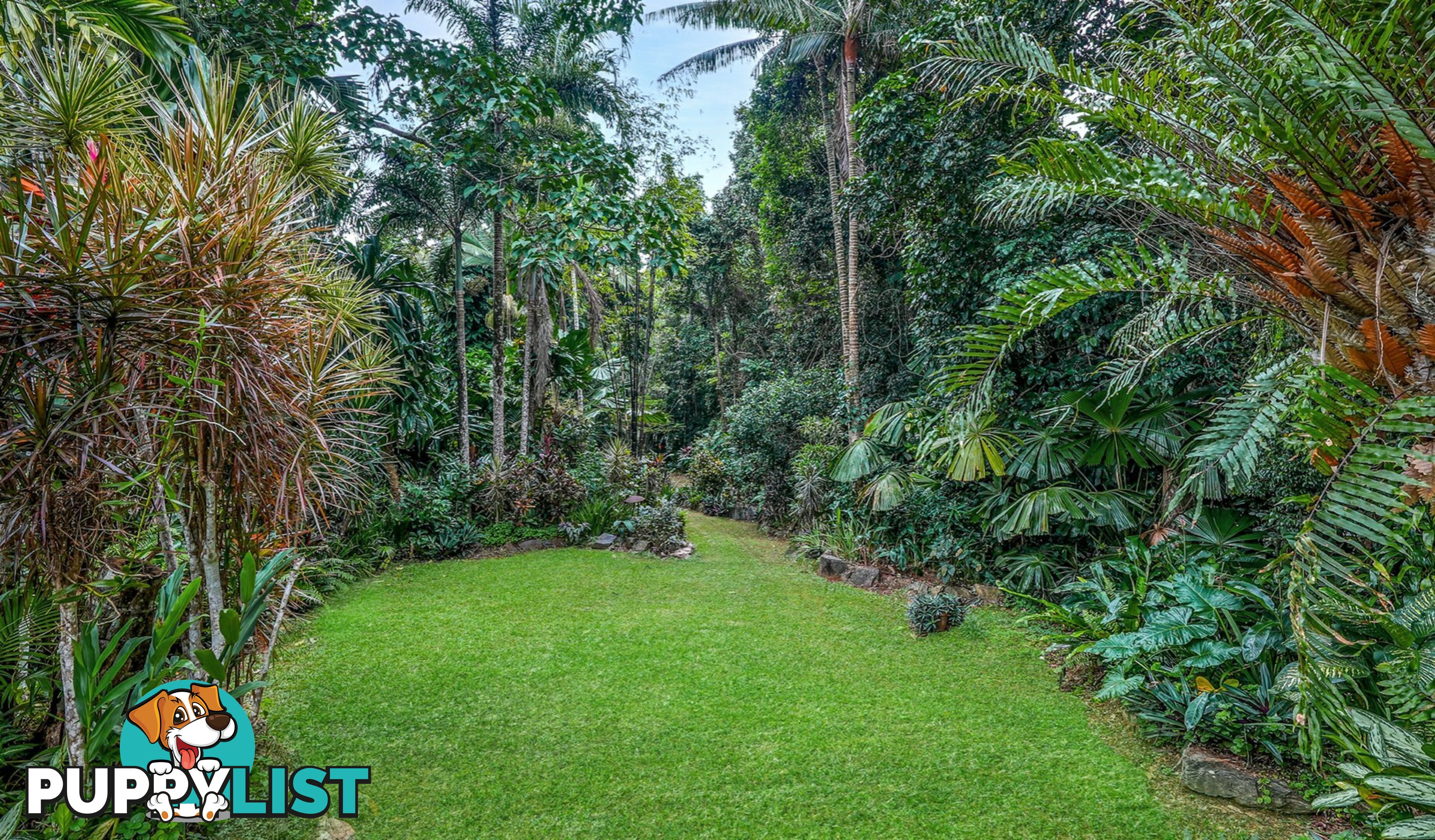 257 Cape Kimberley Road DAINTREE QLD 4873