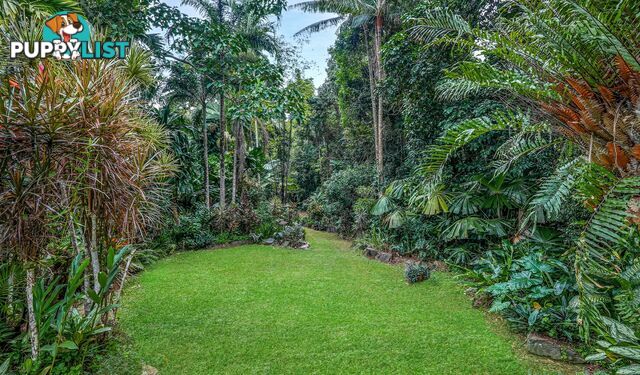 257 Cape Kimberley Road DAINTREE QLD 4873