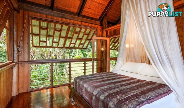 257 Cape Kimberley Road DAINTREE QLD 4873