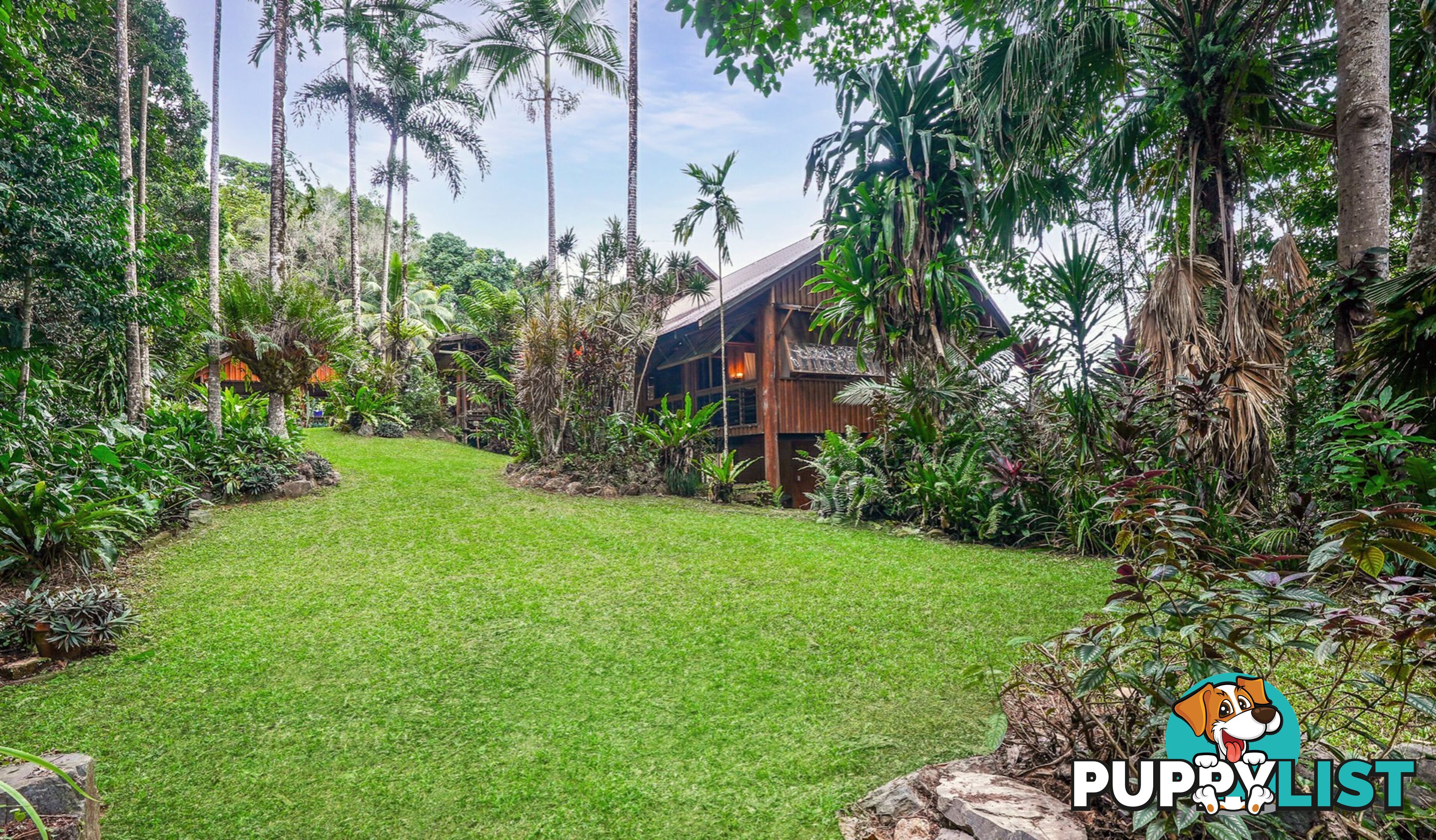 257 Cape Kimberley Road DAINTREE QLD 4873