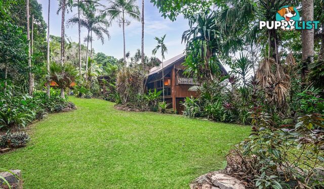 257 Cape Kimberley Road DAINTREE QLD 4873