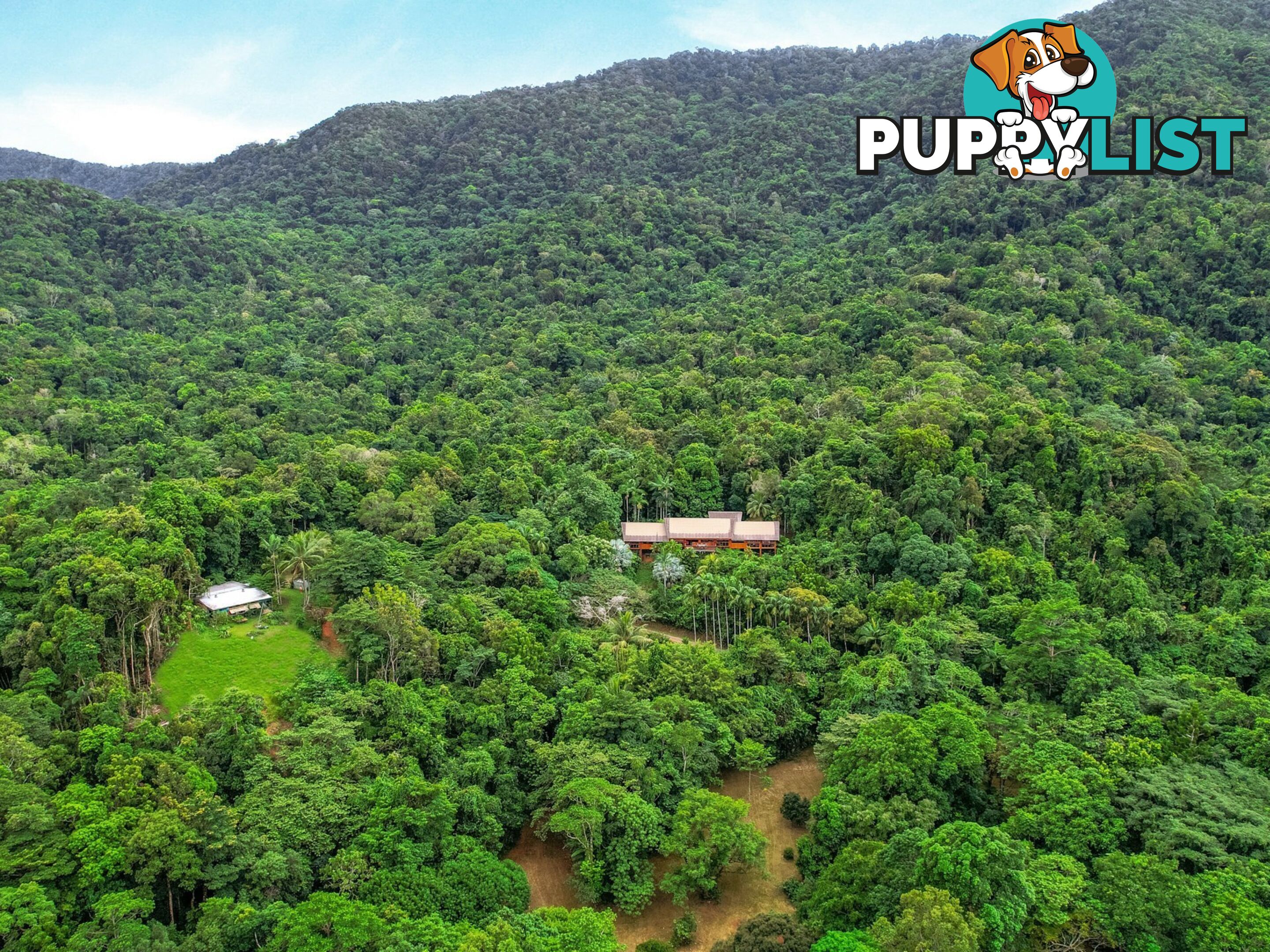 257 Cape Kimberley Road DAINTREE QLD 4873