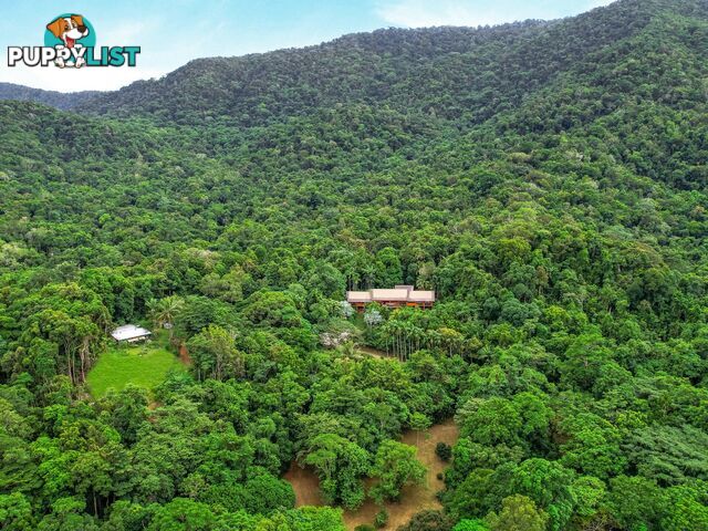 257 Cape Kimberley Road DAINTREE QLD 4873