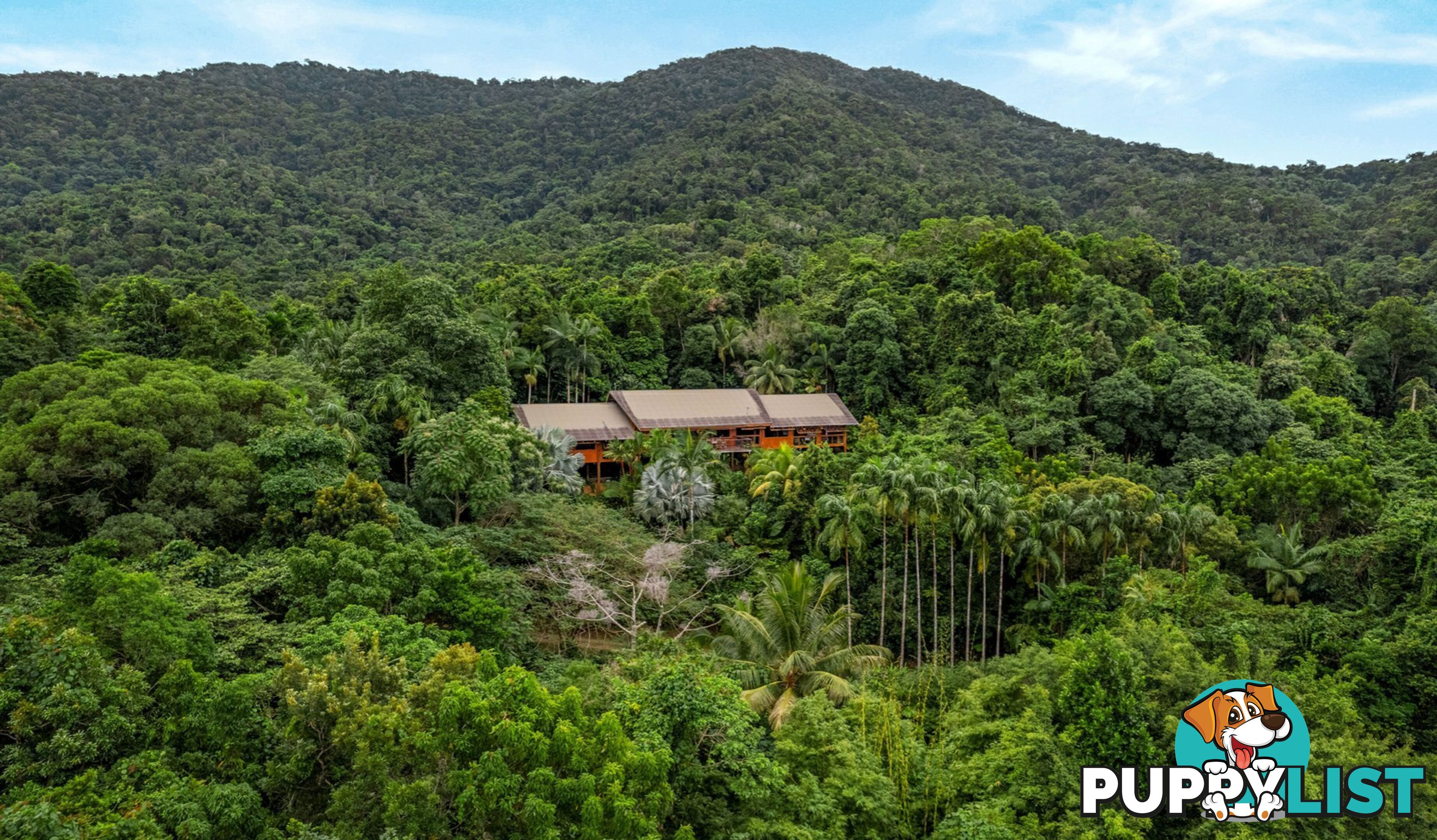 257 Cape Kimberley Road DAINTREE QLD 4873