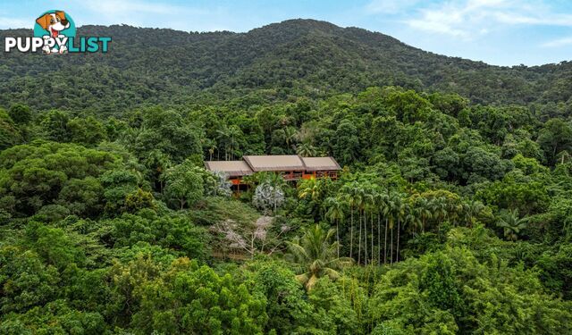 257 Cape Kimberley Road DAINTREE QLD 4873