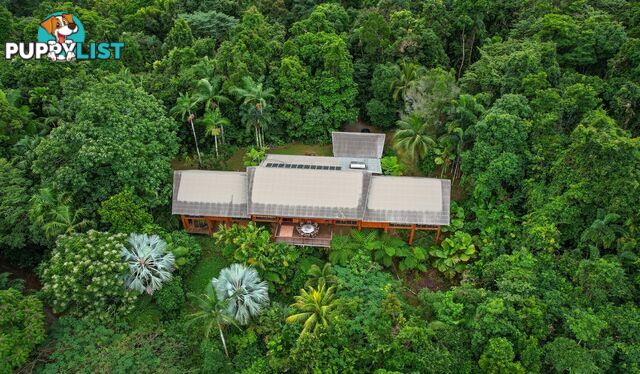 257 Cape Kimberley Road DAINTREE QLD 4873