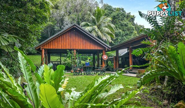 257 Cape Kimberley Road DAINTREE QLD 4873