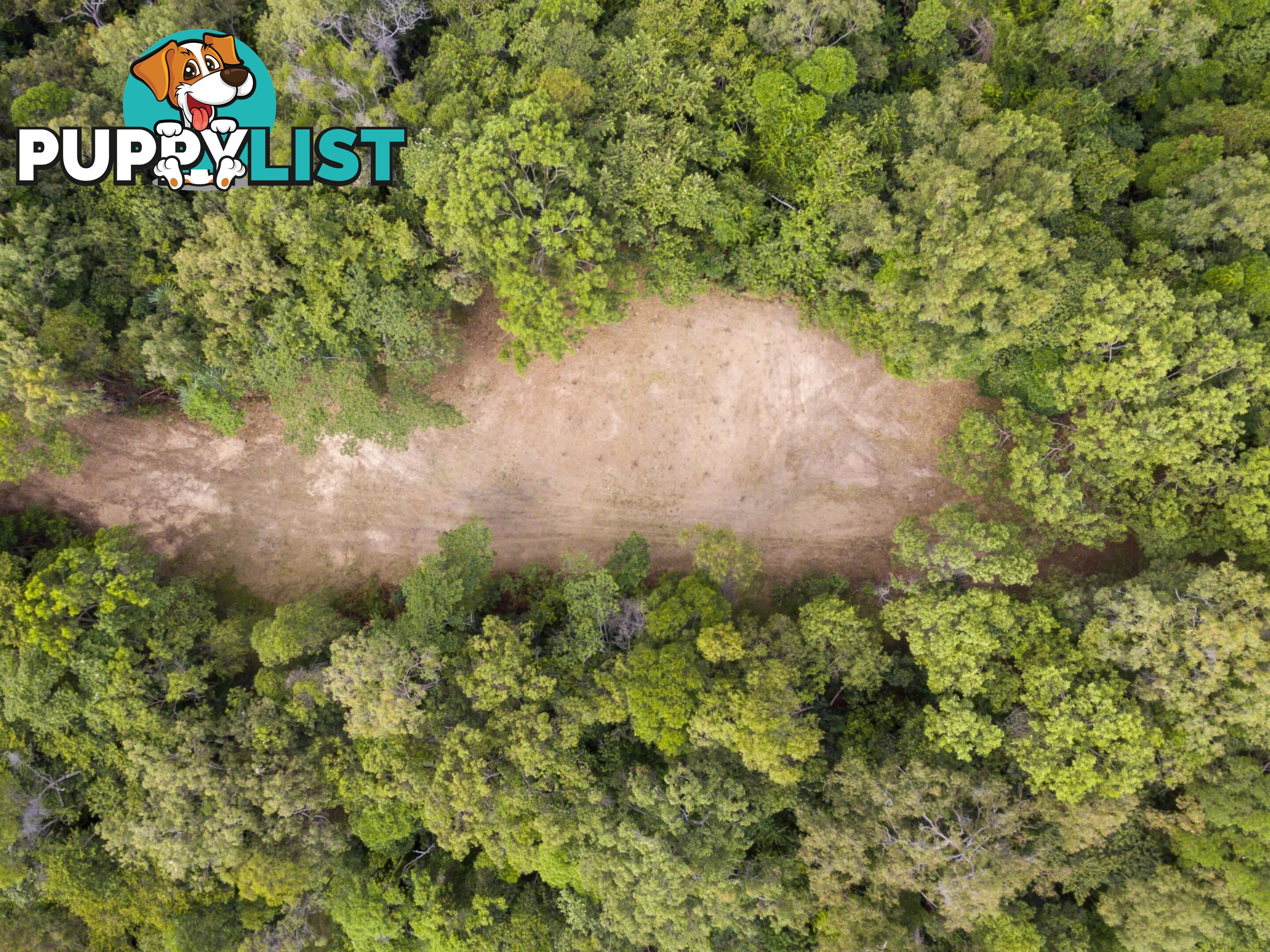 Lot 11 Sawmill Road MOSSMAN QLD 4873