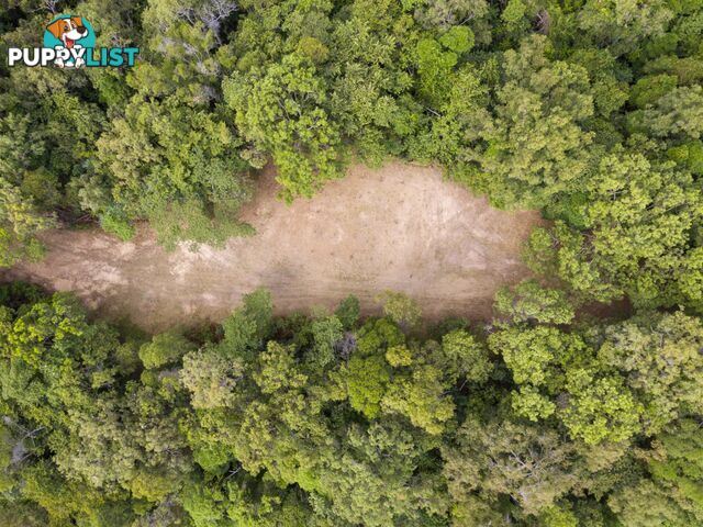 Lot 11 Sawmill Road MOSSMAN QLD 4873