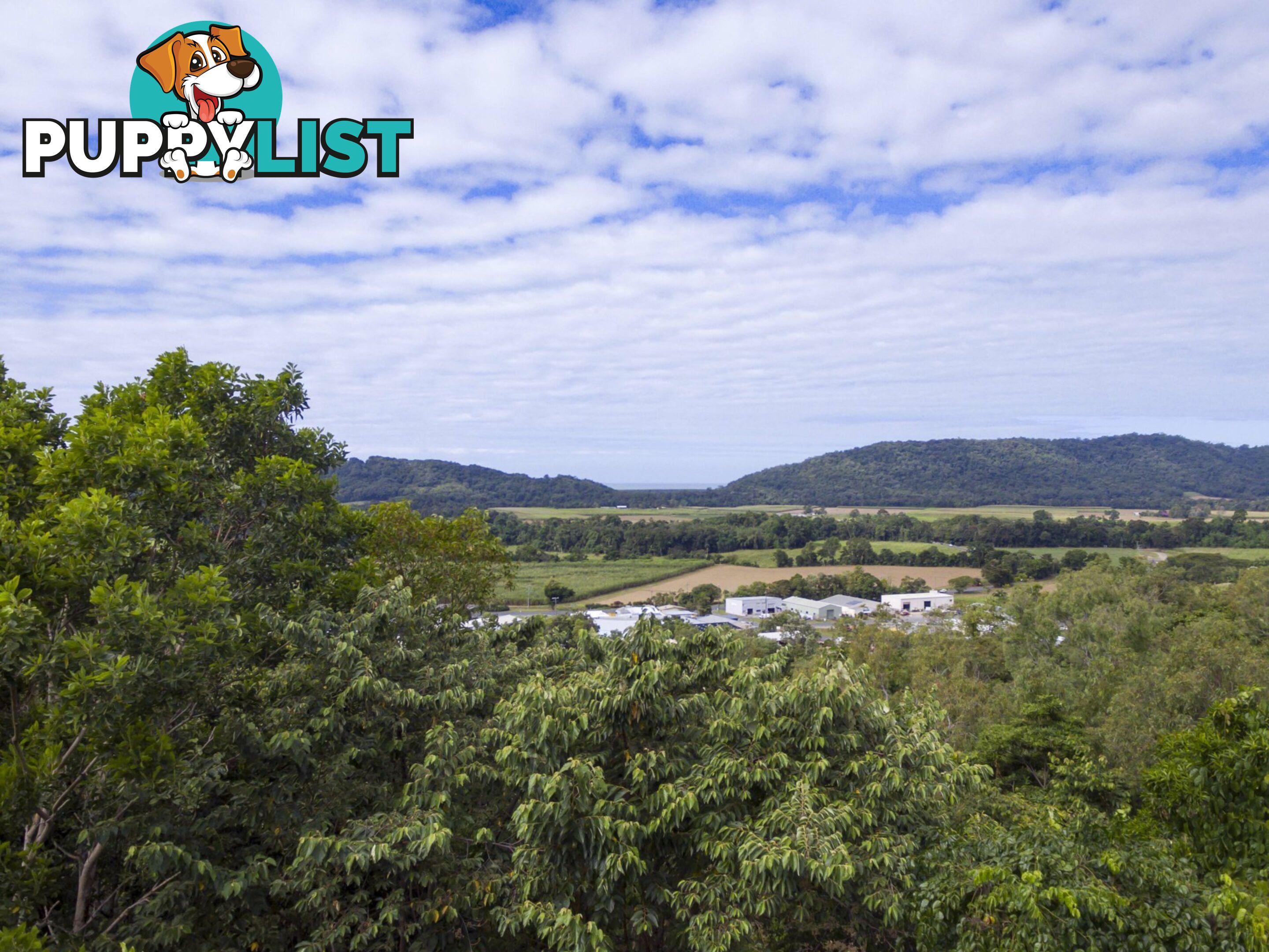 Lot 11 Sawmill Road MOSSMAN QLD 4873