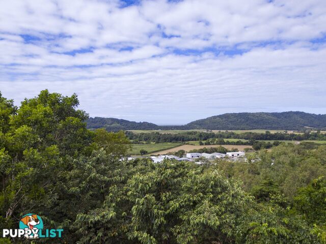 Lot 11 Sawmill Road MOSSMAN QLD 4873