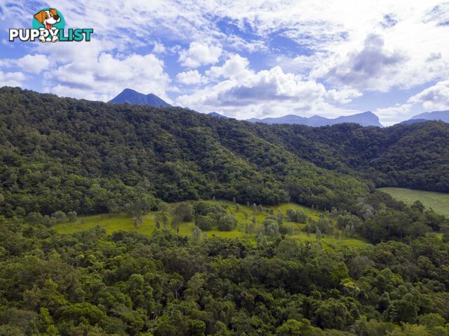 Lot 11 Sawmill Road MOSSMAN QLD 4873