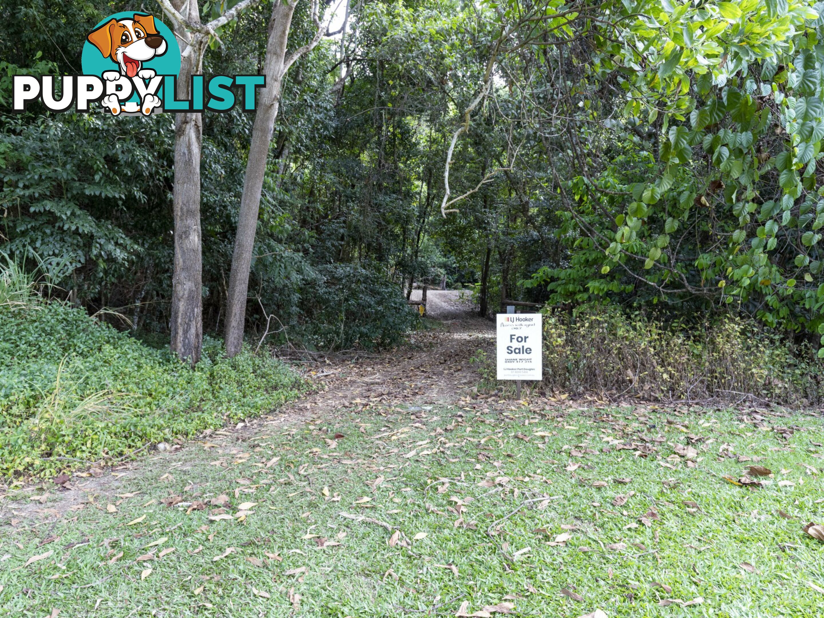 Lot 11 Sawmill Road MOSSMAN QLD 4873