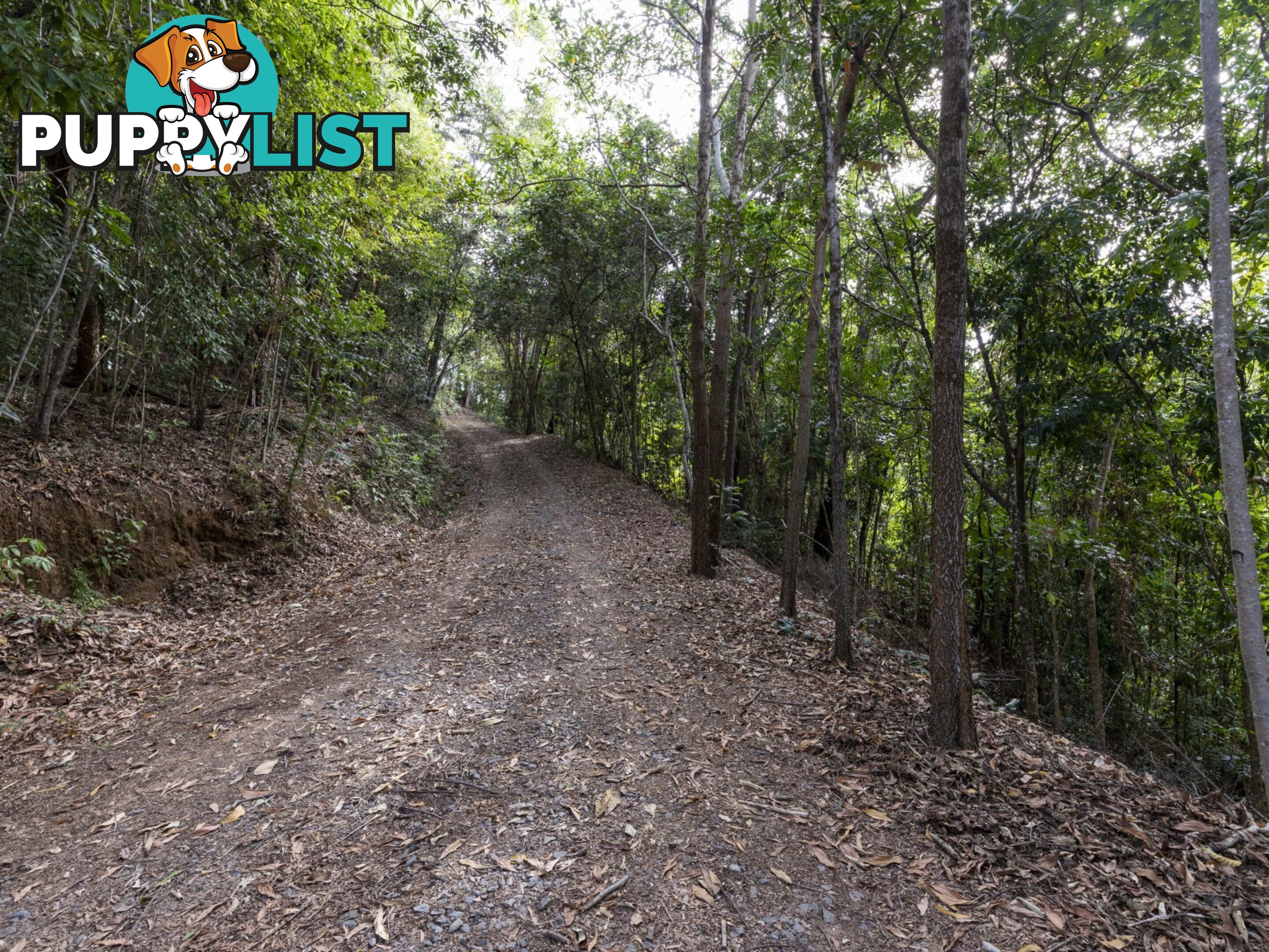 Lot 11 Sawmill Road MOSSMAN QLD 4873