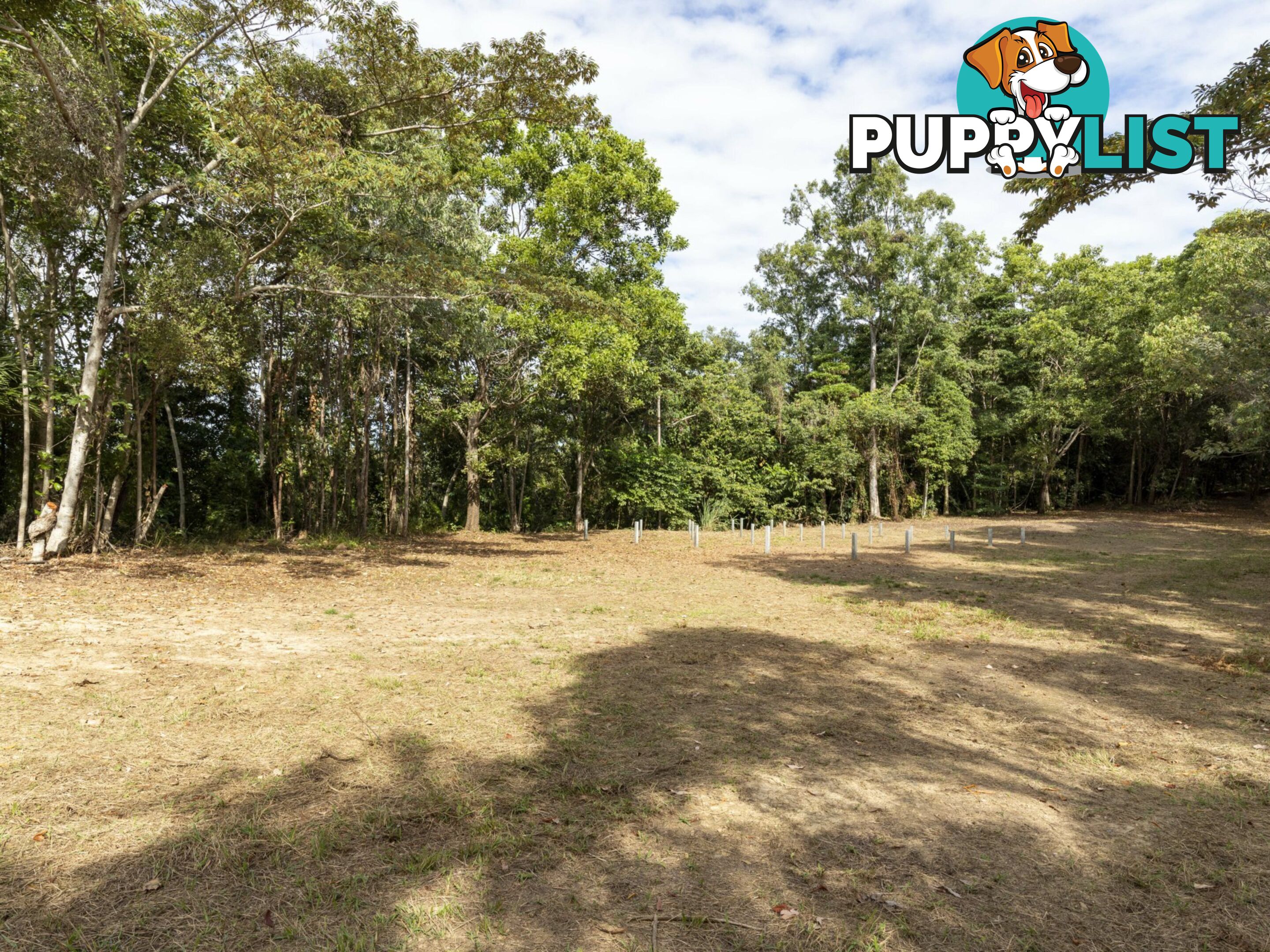 Lot 11 Sawmill Road MOSSMAN QLD 4873