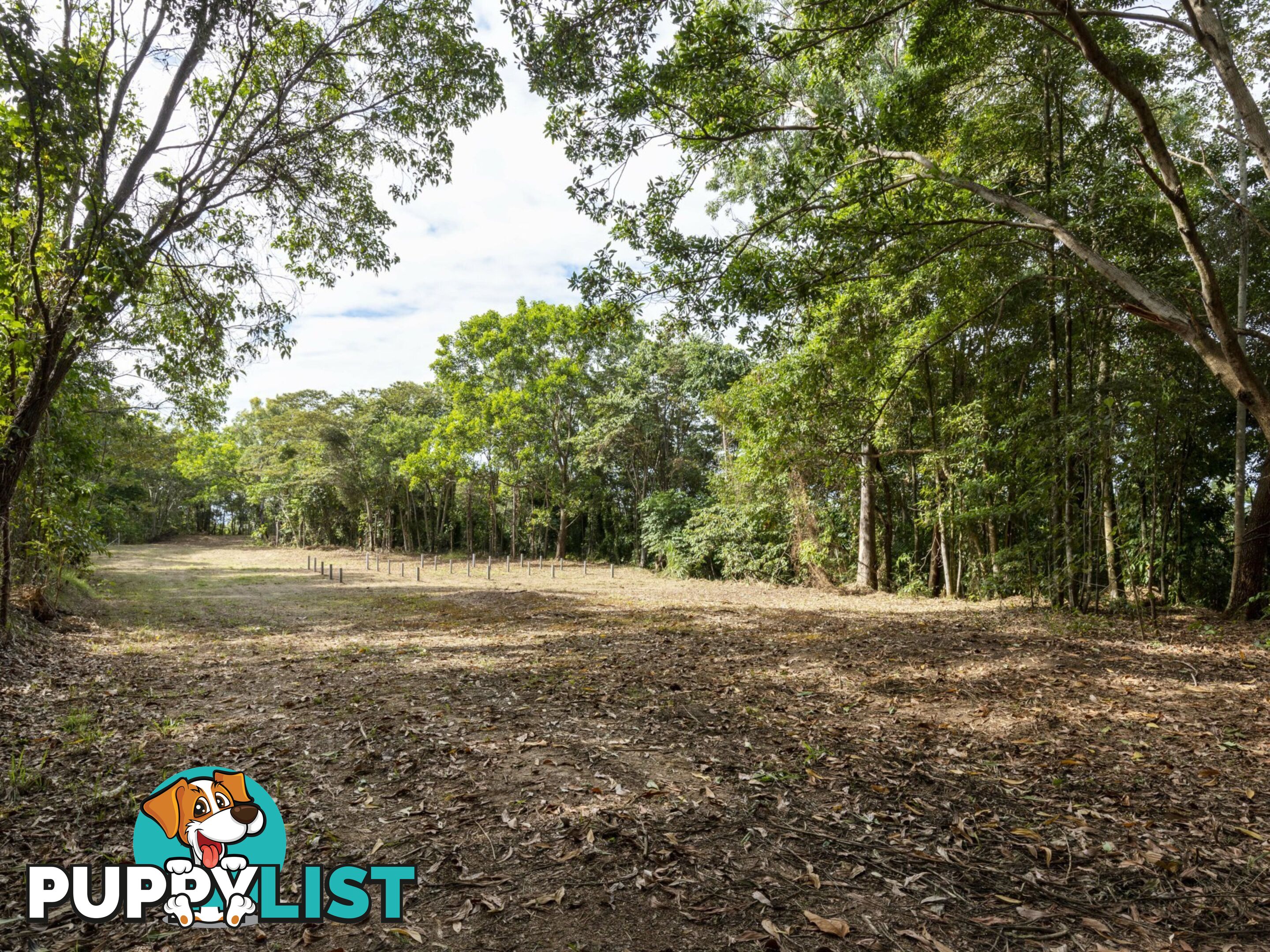 Lot 11 Sawmill Road MOSSMAN QLD 4873