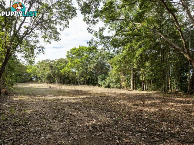 Lot 11 Sawmill Road MOSSMAN QLD 4873