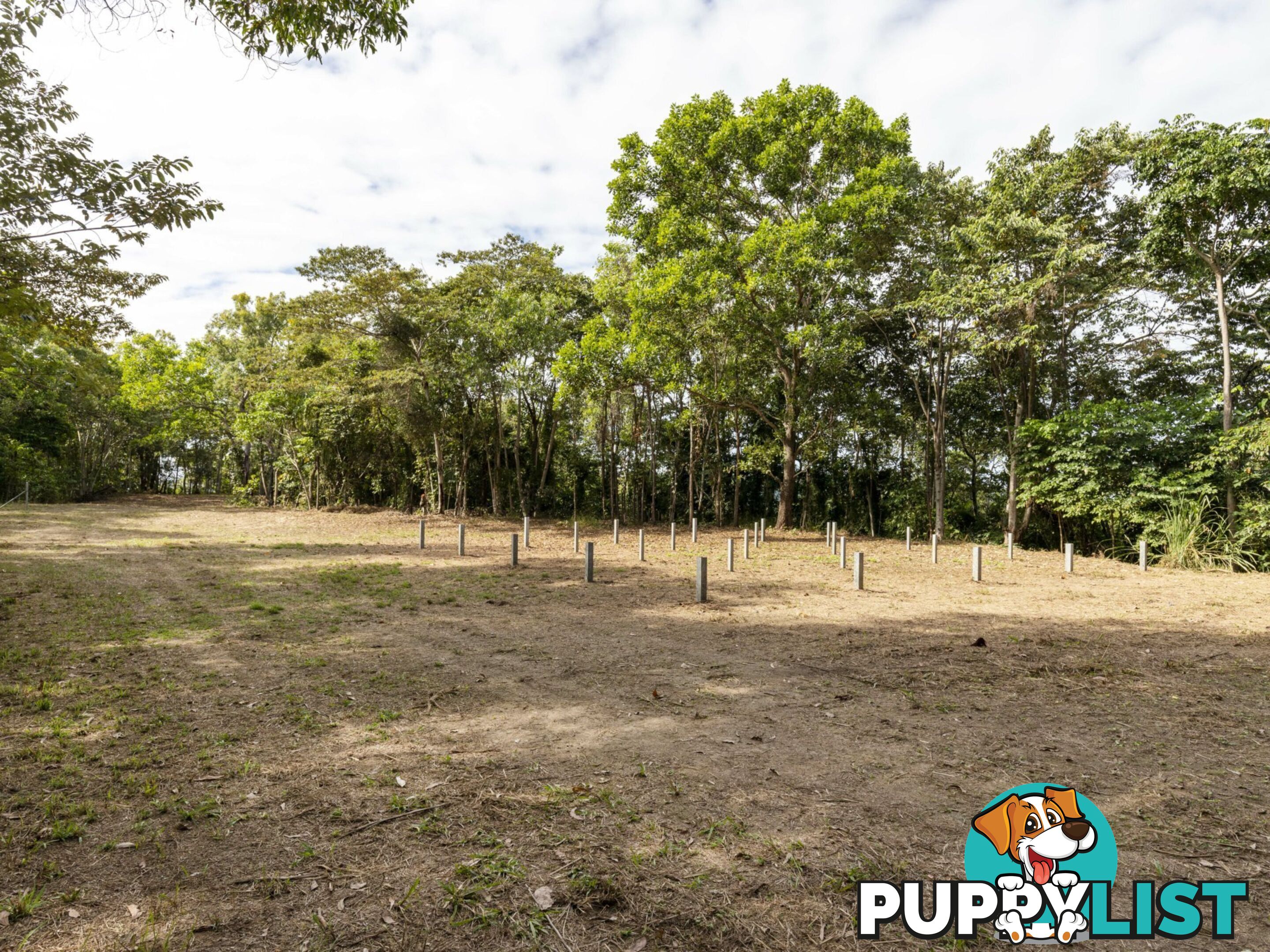 Lot 11 Sawmill Road MOSSMAN QLD 4873