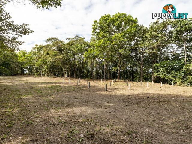 Lot 11 Sawmill Road MOSSMAN QLD 4873