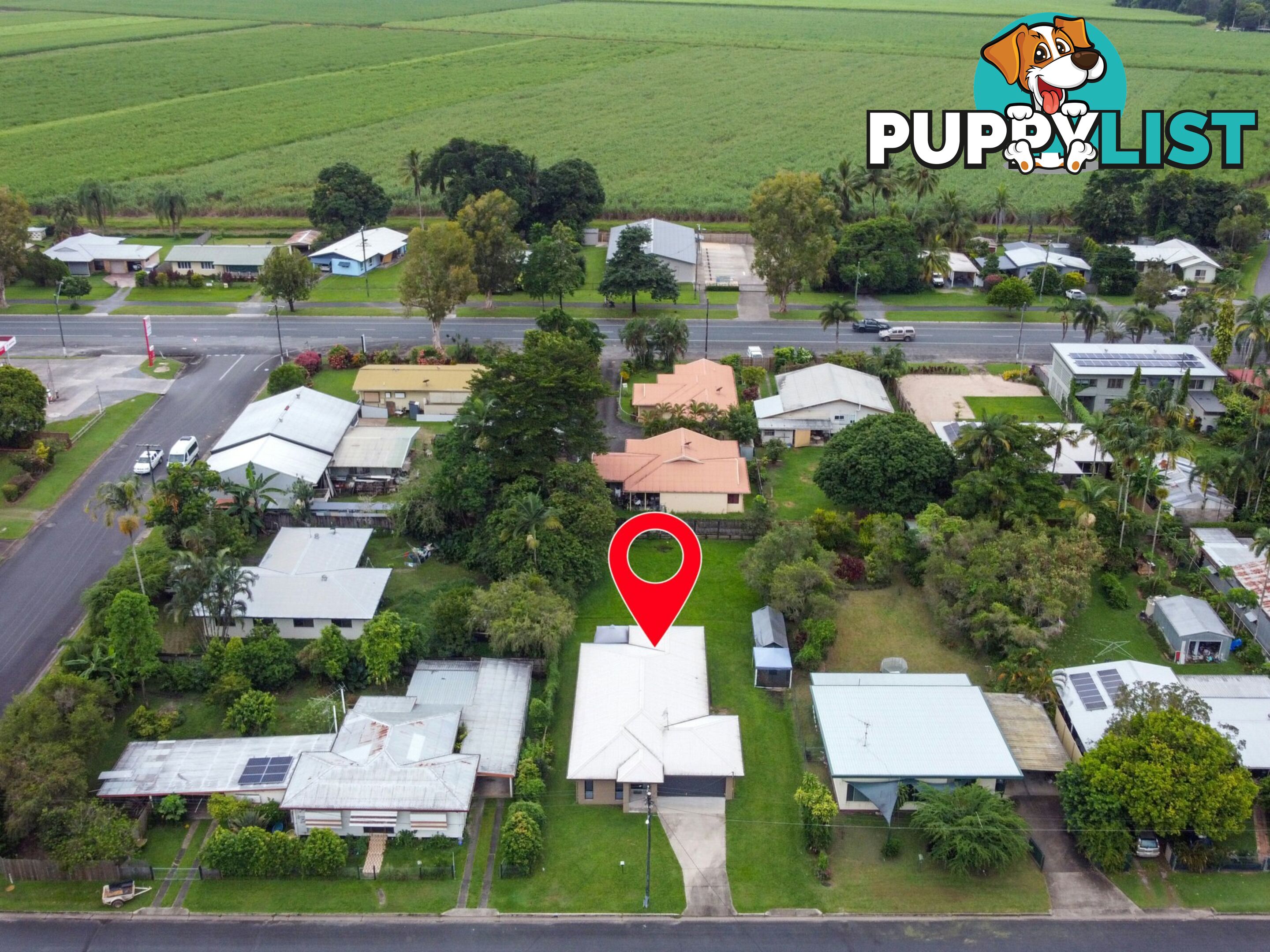 8 Pringle Street MOSSMAN QLD 4873