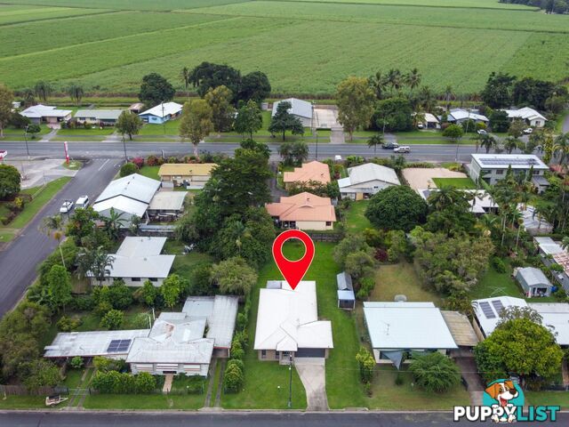 8 Pringle Street MOSSMAN QLD 4873