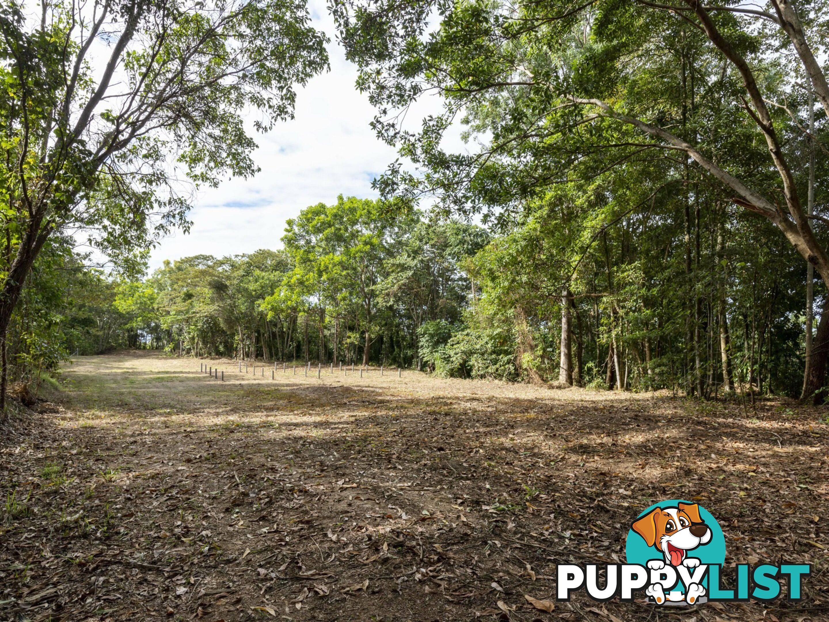 27 Sawmill Road MOSSMAN QLD 4873