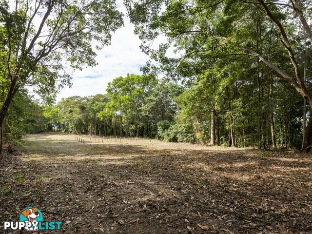 27 Sawmill Road MOSSMAN QLD 4873