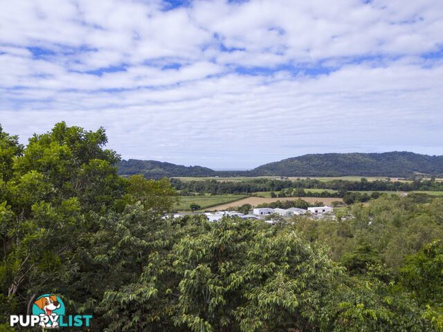 27 Sawmill Road MOSSMAN QLD 4873