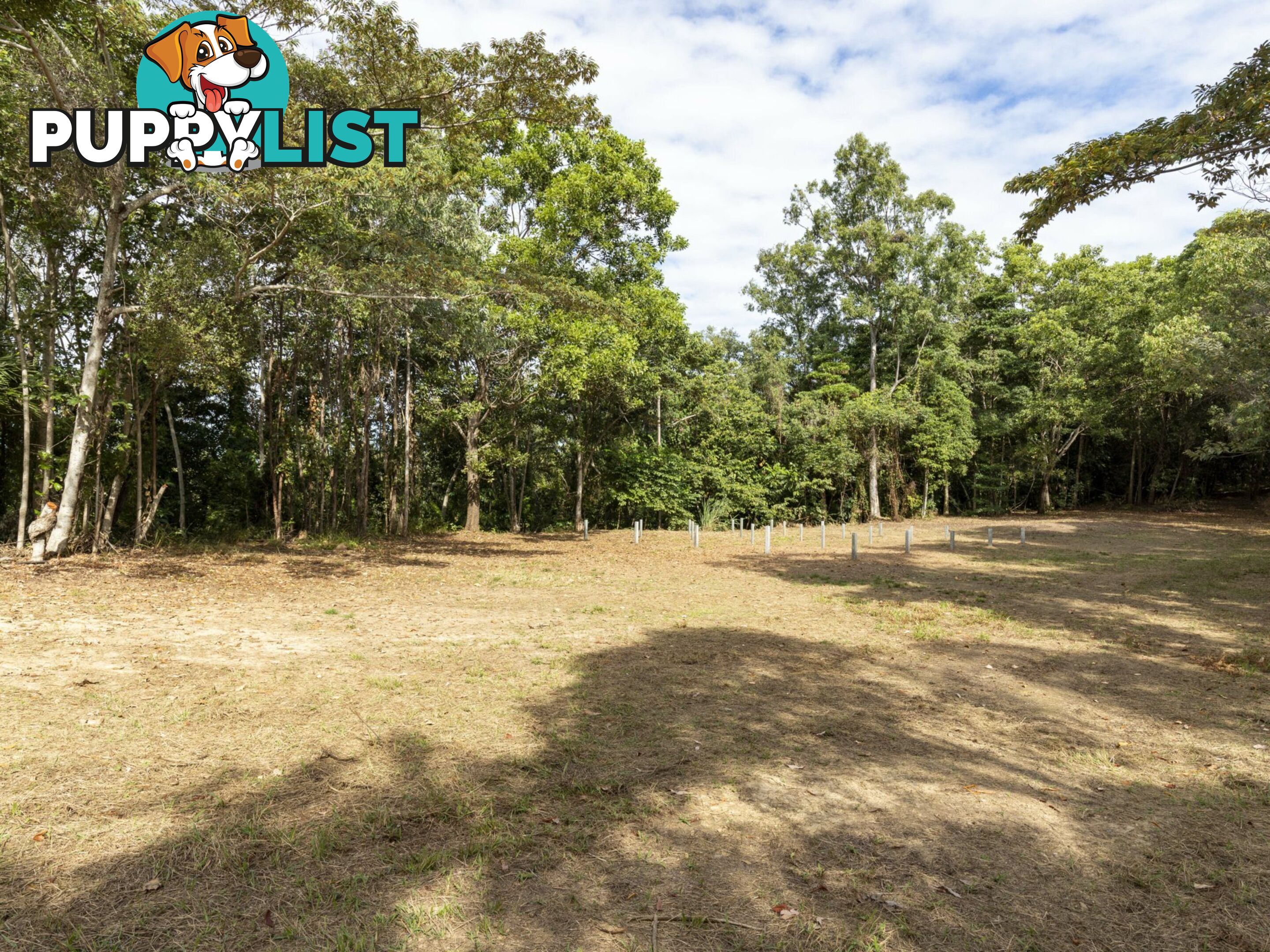 27 Sawmill Road MOSSMAN QLD 4873