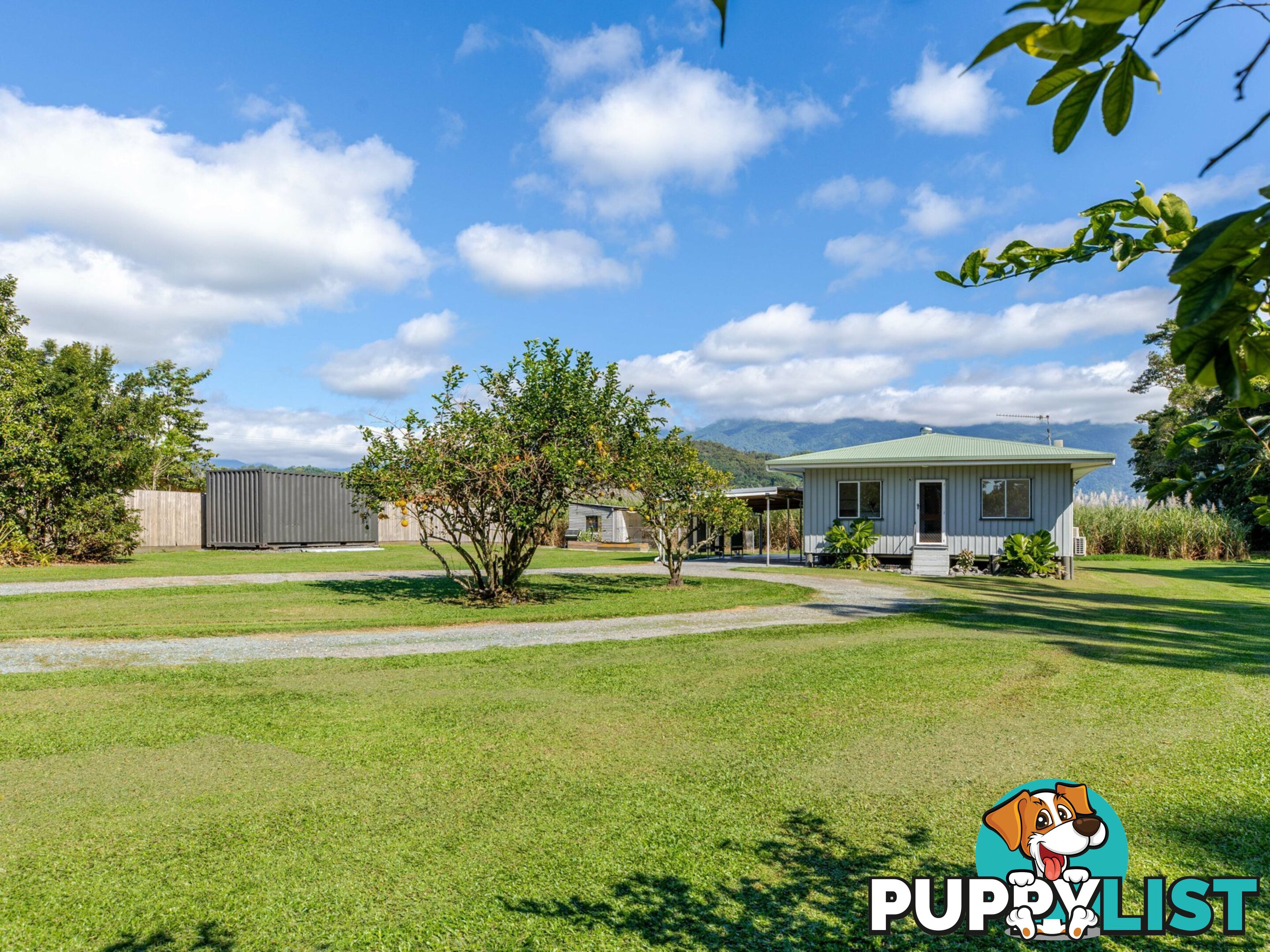 7 Miallo Bamboo Creek Road MIALLO QLD 4873