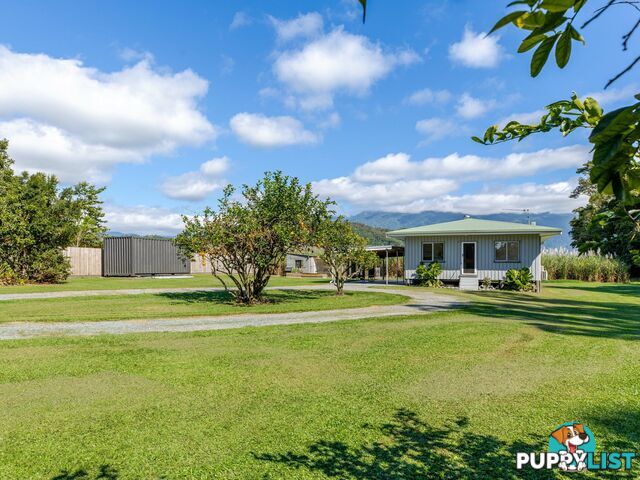 7 Miallo Bamboo Creek Road MIALLO QLD 4873