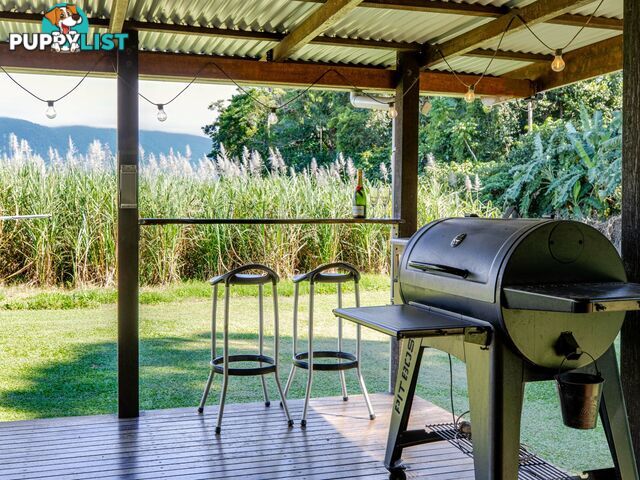 7 Miallo Bamboo Creek Road MIALLO QLD 4873