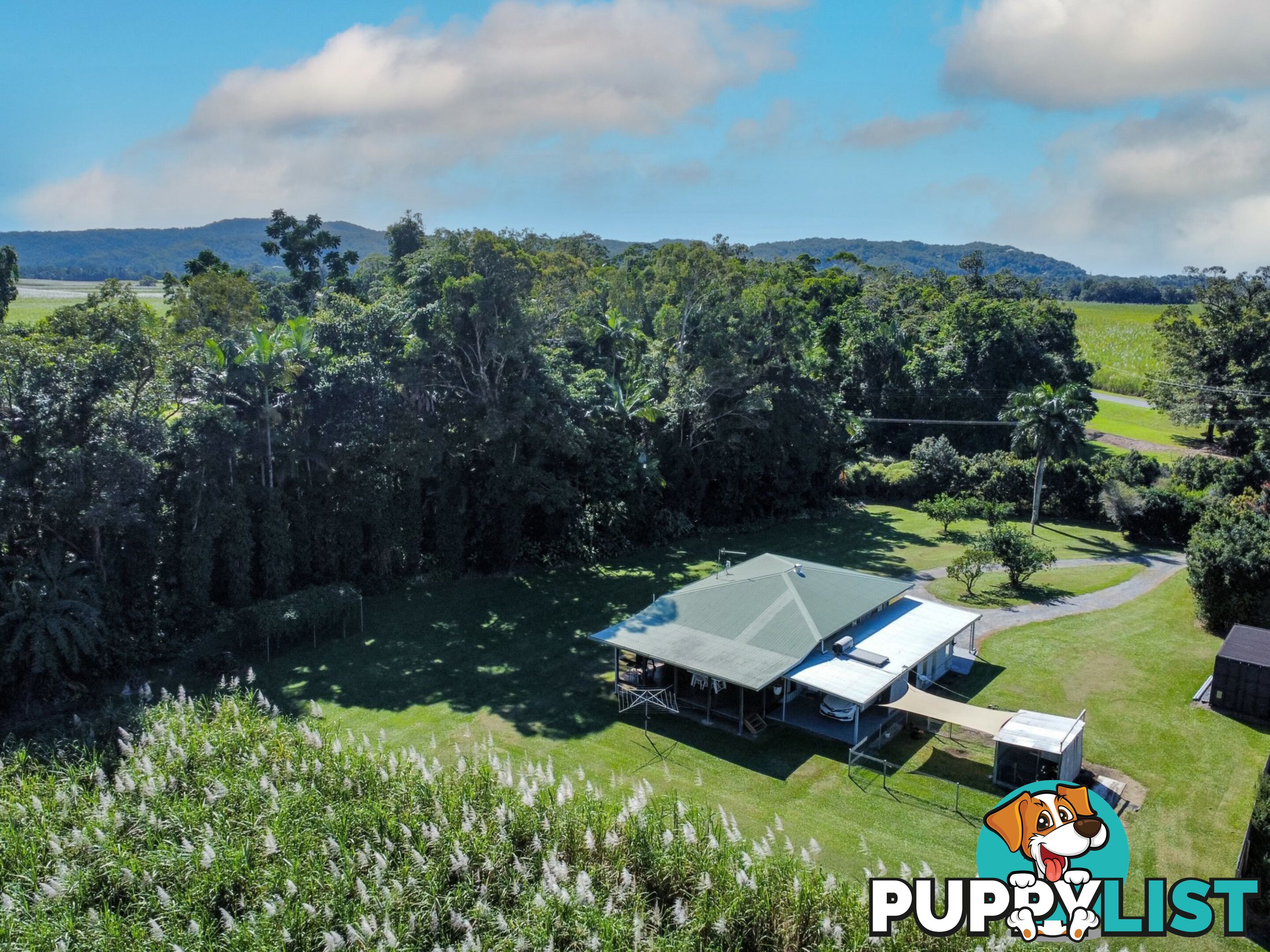 7 Miallo Bamboo Creek Road MIALLO QLD 4873