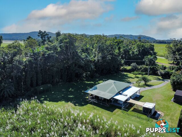 7 Miallo Bamboo Creek Road MIALLO QLD 4873