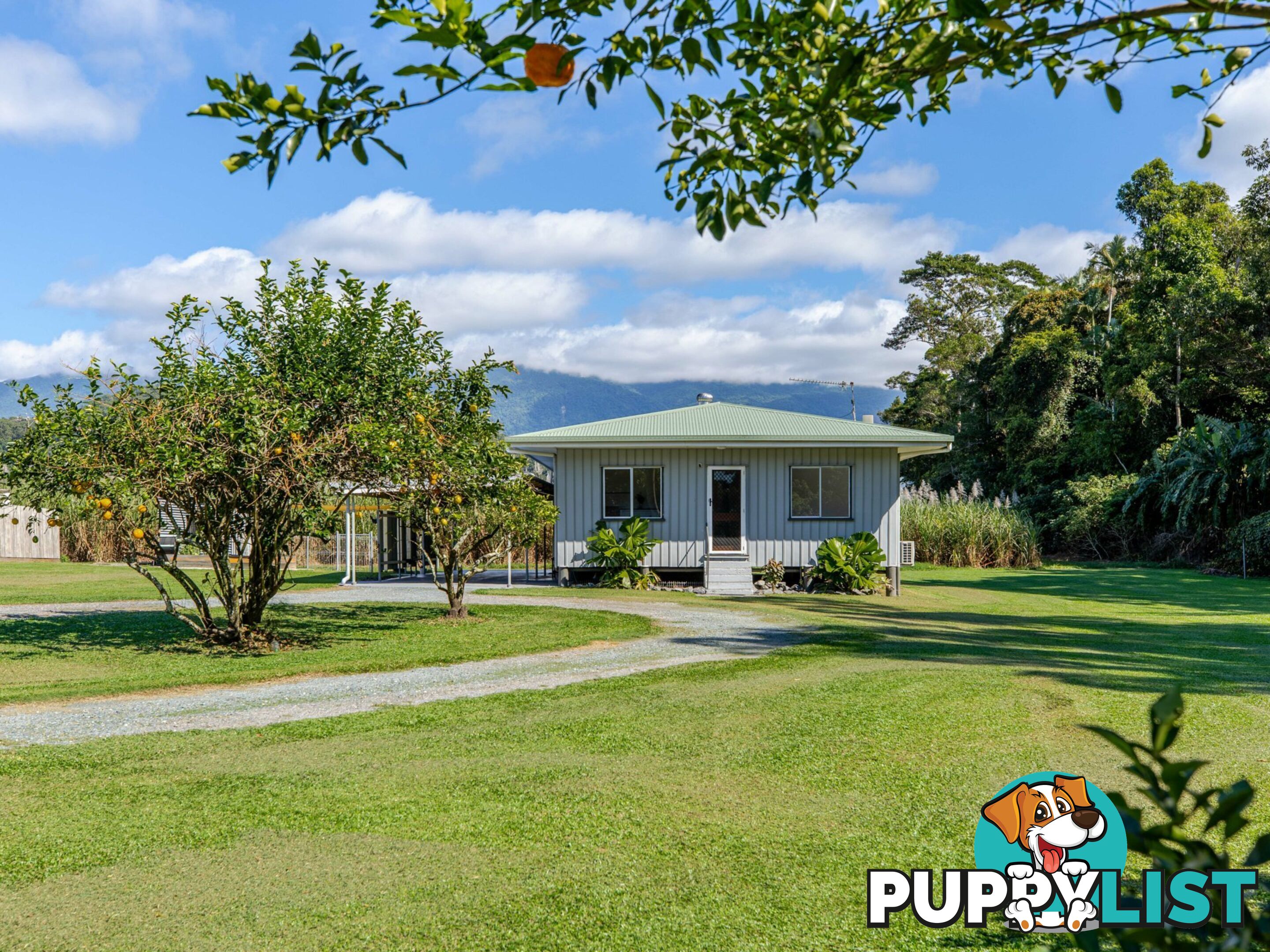 7 Miallo Bamboo Creek Road MIALLO QLD 4873