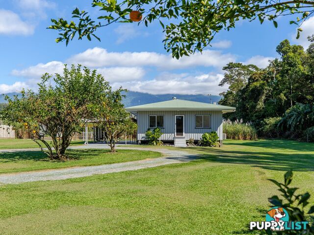 7 Miallo Bamboo Creek Road MIALLO QLD 4873