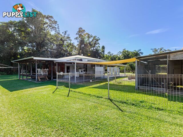 7 Miallo Bamboo Creek Road MIALLO QLD 4873