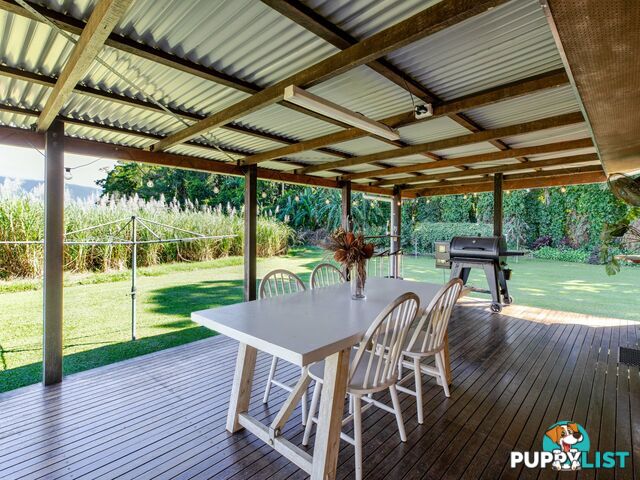 7 Miallo Bamboo Creek Road MIALLO QLD 4873