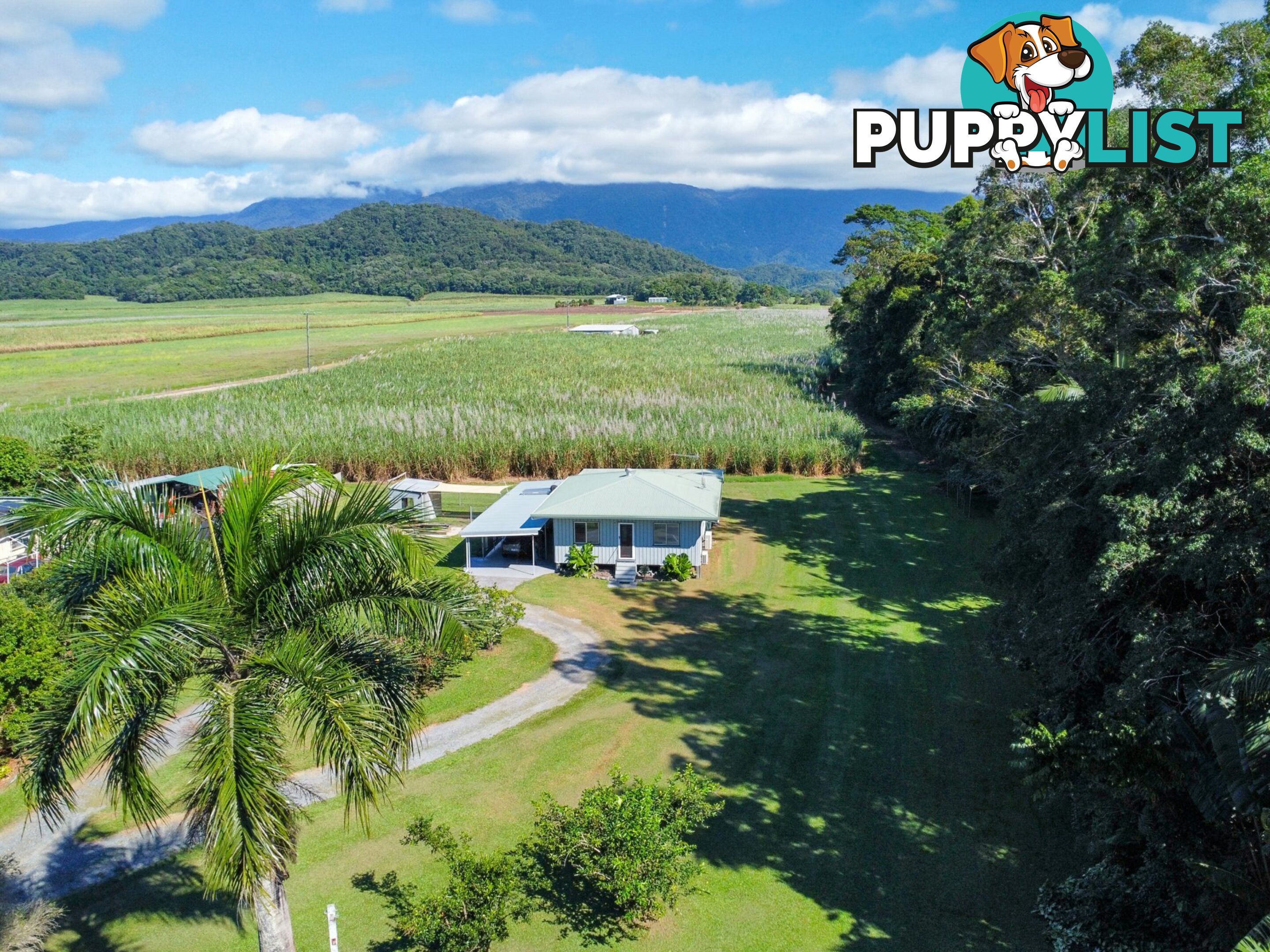7 Miallo Bamboo Creek Road MIALLO QLD 4873