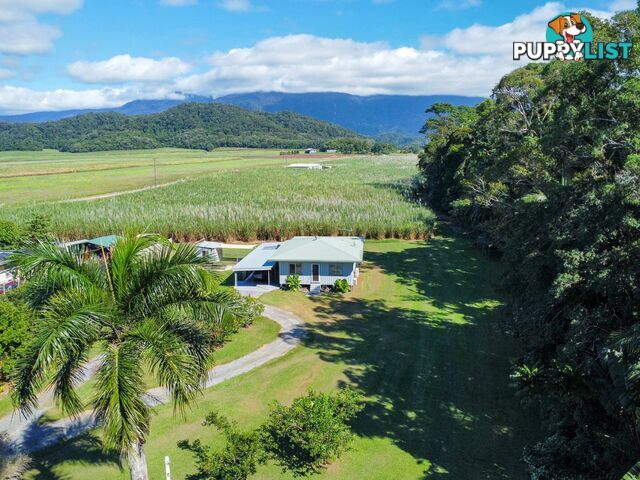 7 Miallo Bamboo Creek Road MIALLO QLD 4873