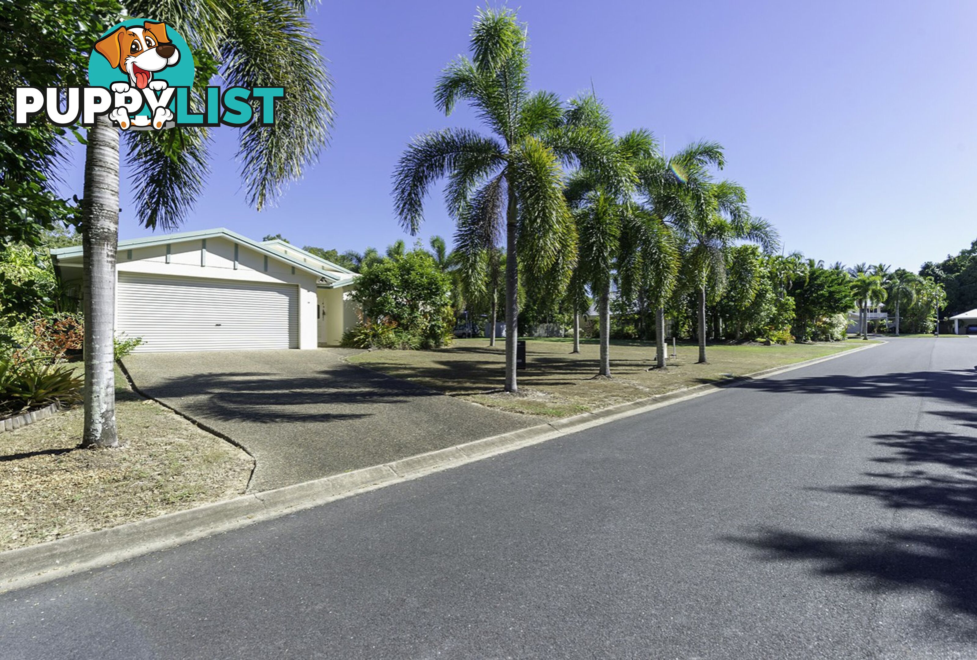 16 Albatross Close COOYA BEACH QLD 4873