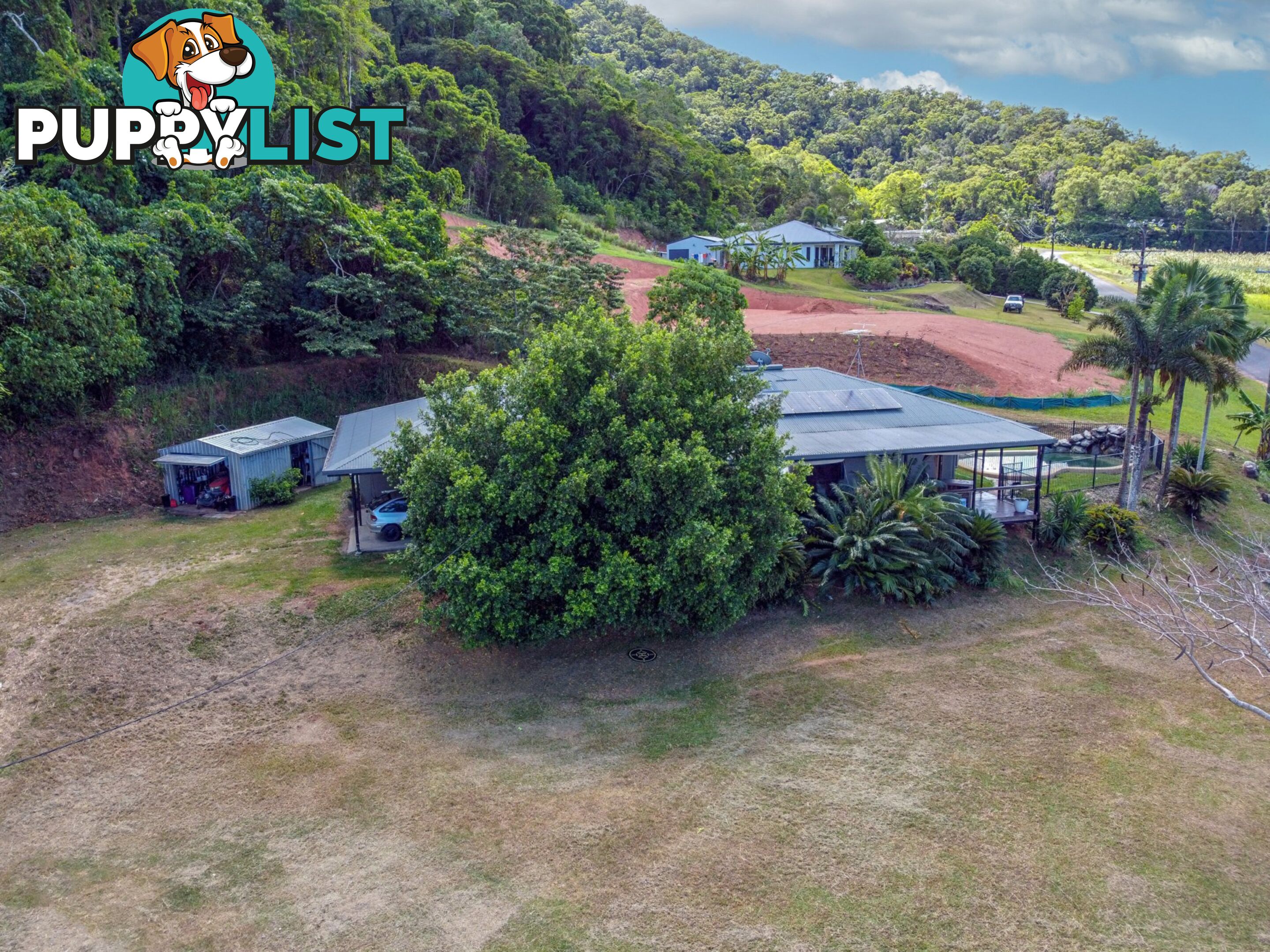 74 De Meio Drive LOWER DAINTREE QLD 4873