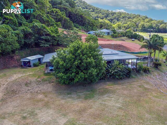 74 De Meio Drive LOWER DAINTREE QLD 4873