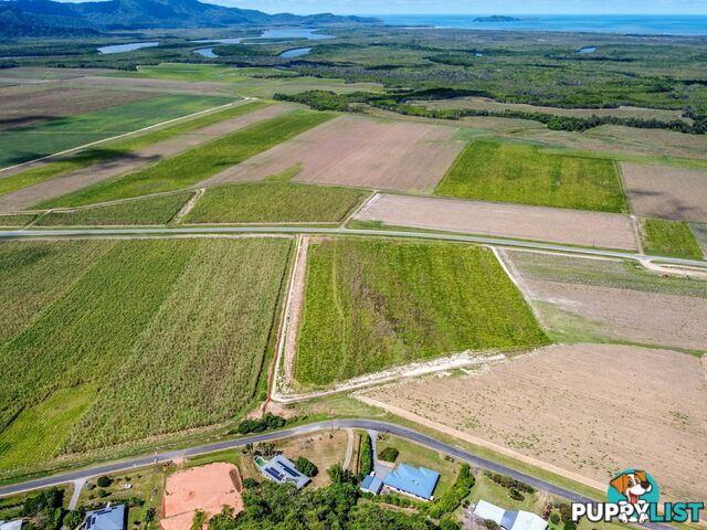 74 De Meio Drive LOWER DAINTREE QLD 4873