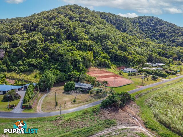 74 De Meio Drive LOWER DAINTREE QLD 4873