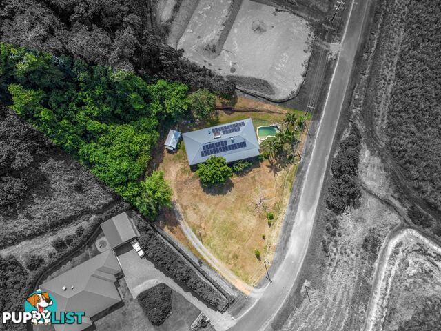 74 De Meio Drive LOWER DAINTREE QLD 4873