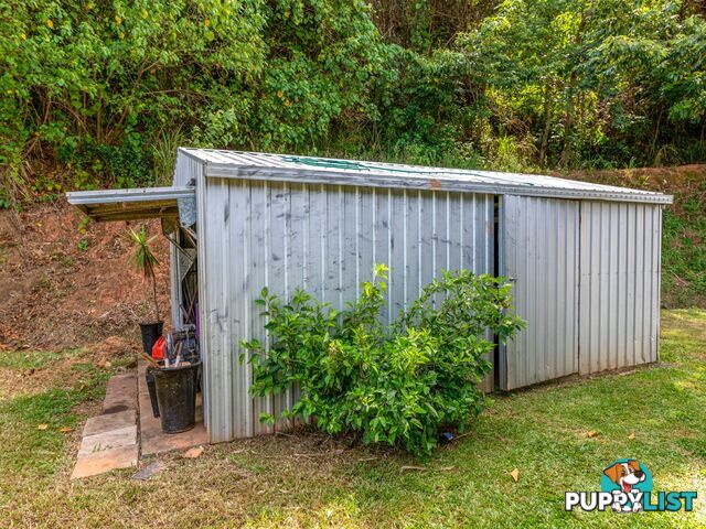 74 De Meio Drive LOWER DAINTREE QLD 4873